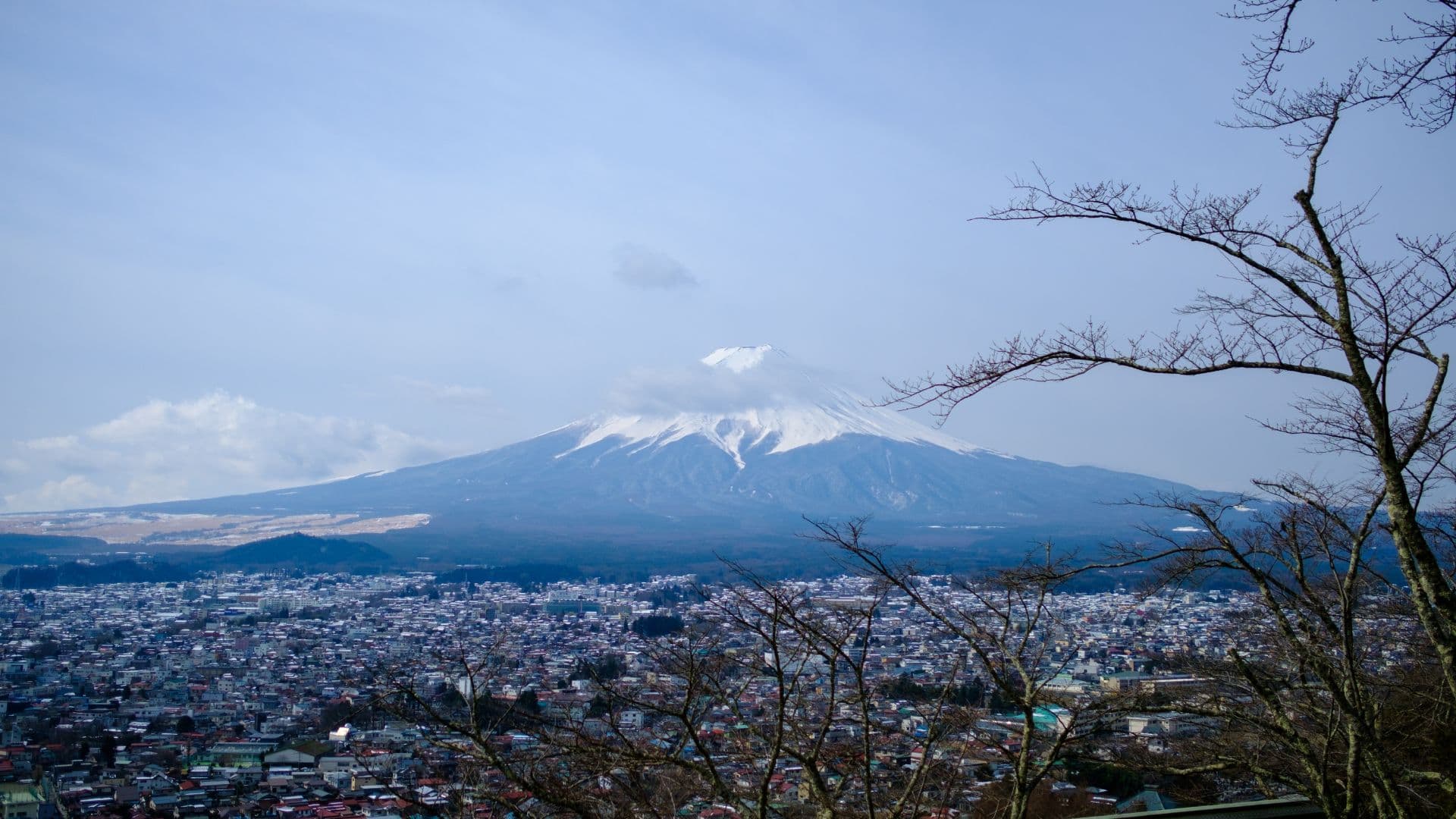 Panduan Mesra Muslim: Lawatan Sehari ke Chureito Pagoda, Yamanashi - 1