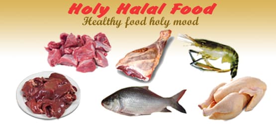 HOLY HALAL FOOD