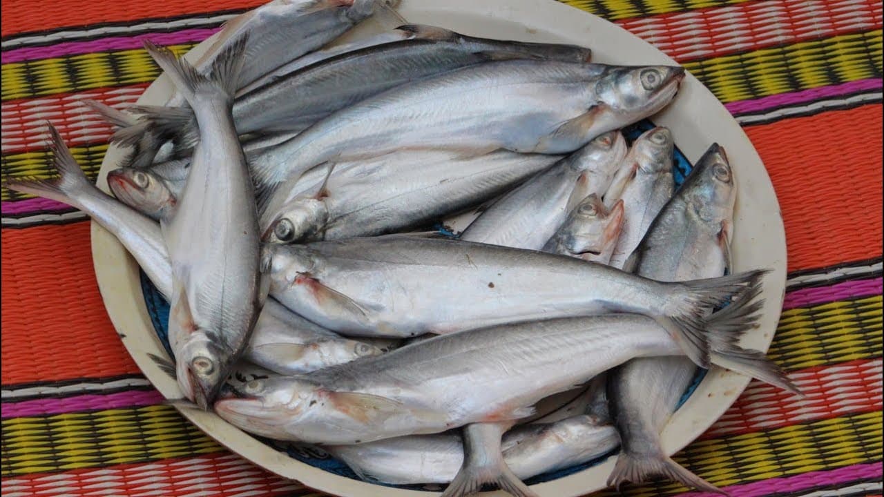 Oishi Halal - 1