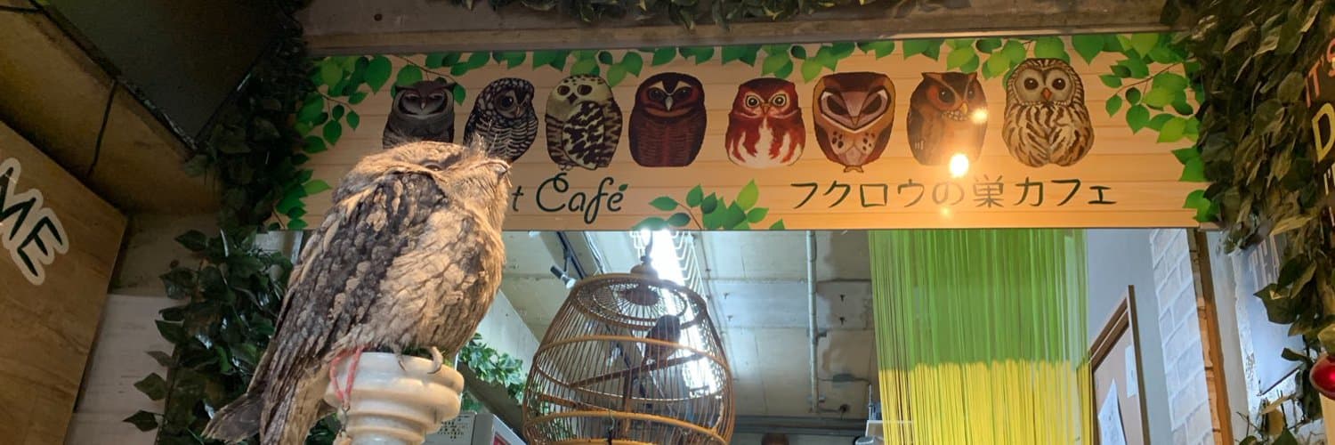 Owl Nest Cafe