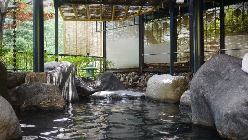 Kinugawa Park Hotels 